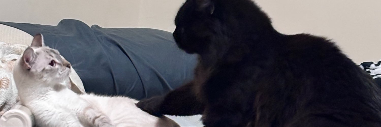 Rulpkm's profile banner image