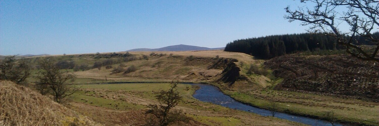 Caledonia Dreaming Profile Banner