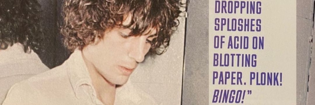 seedparrot's profile banner image