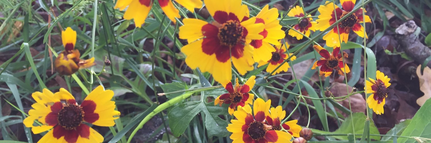 LauraBarbasRh's profile banner image