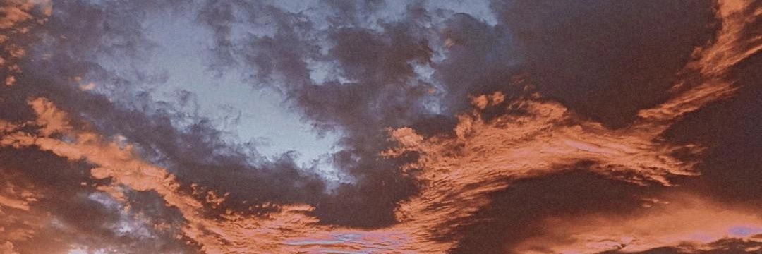 __paulaschultz's profile banner image