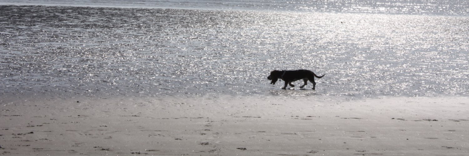 Adrian McCarthy banner