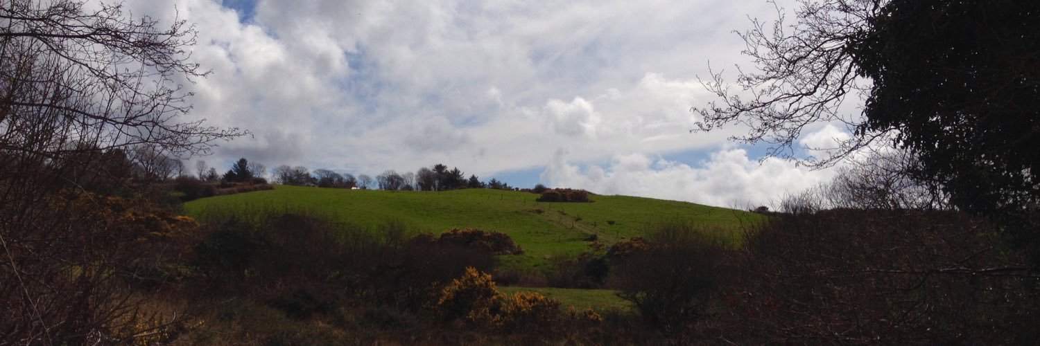 SMcCanty's profile banner image