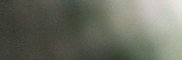 aishawalker Profile Banner