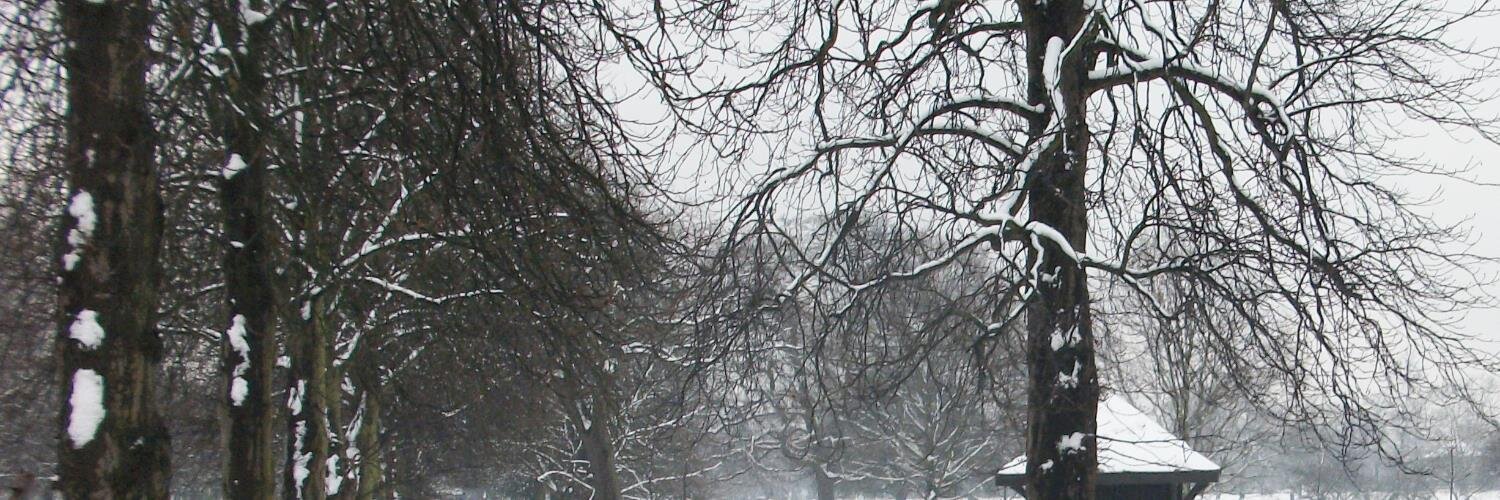 danielpayne19's profile banner image