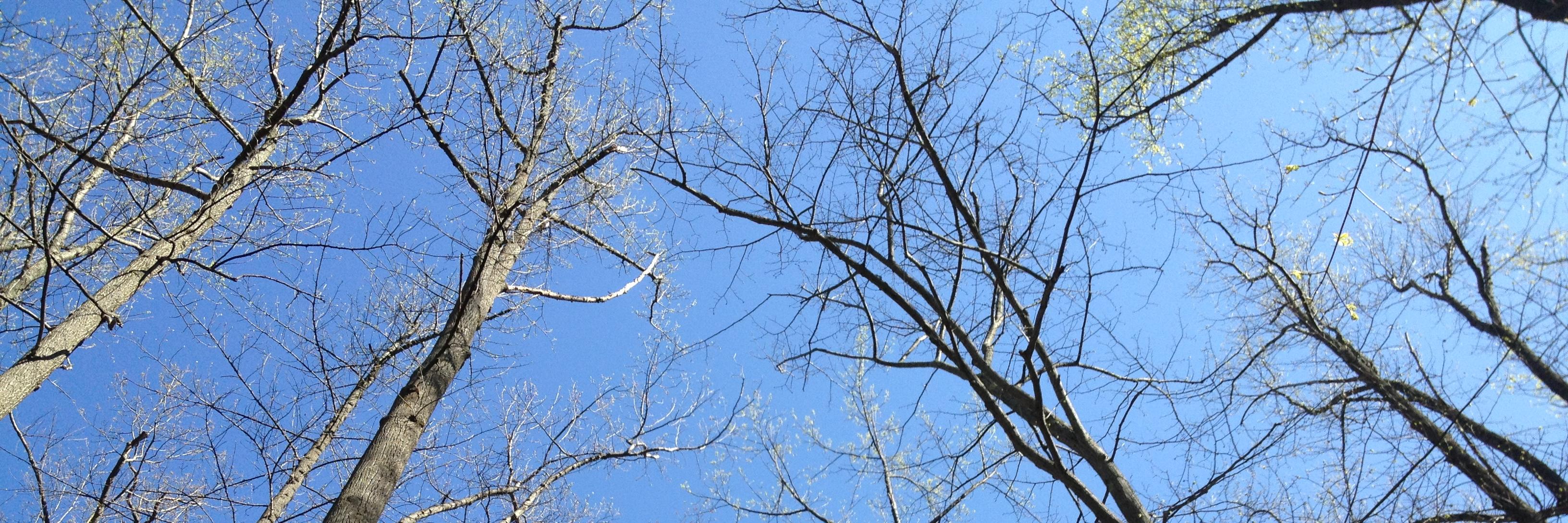 Daniel J Stutzman banner