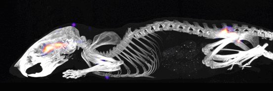 Aaron McCormack banner