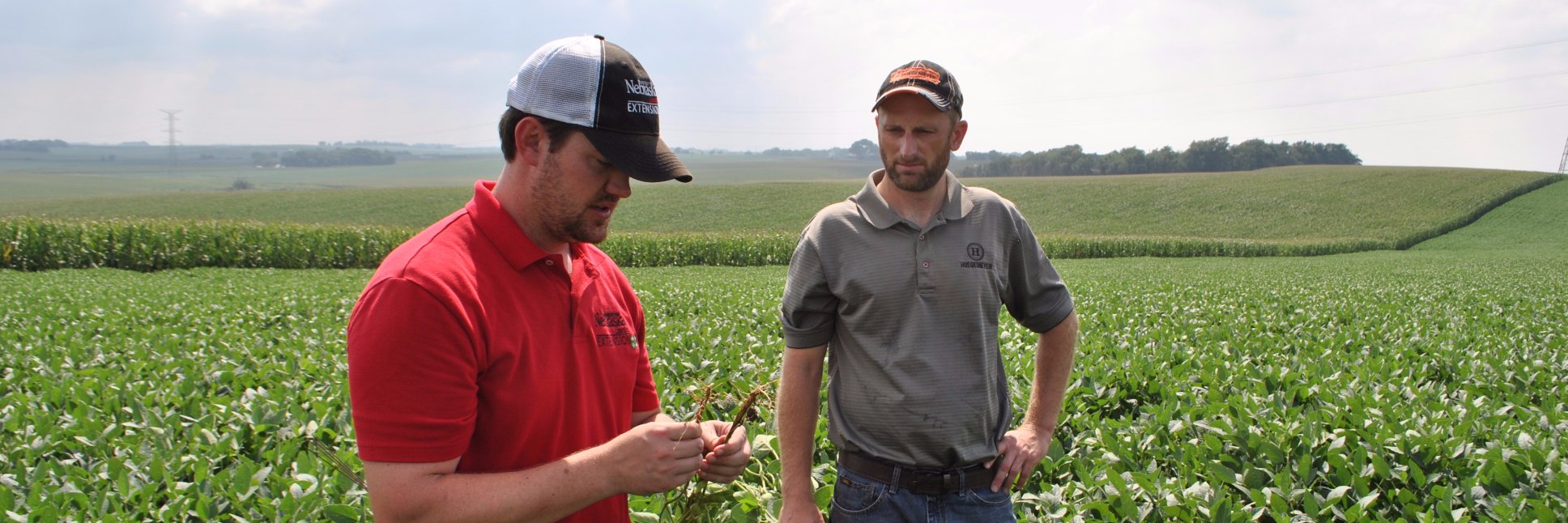 NE On-Farm Research banner