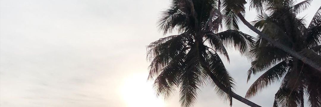 cella_jtm's profile banner image