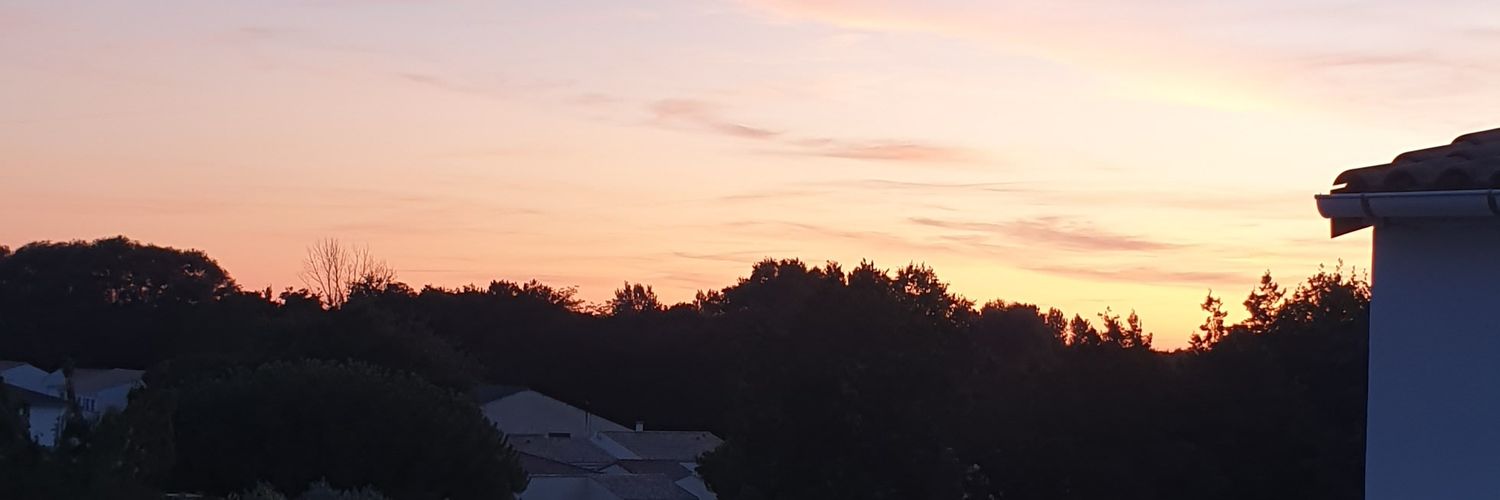 LmrJulie's profile banner image