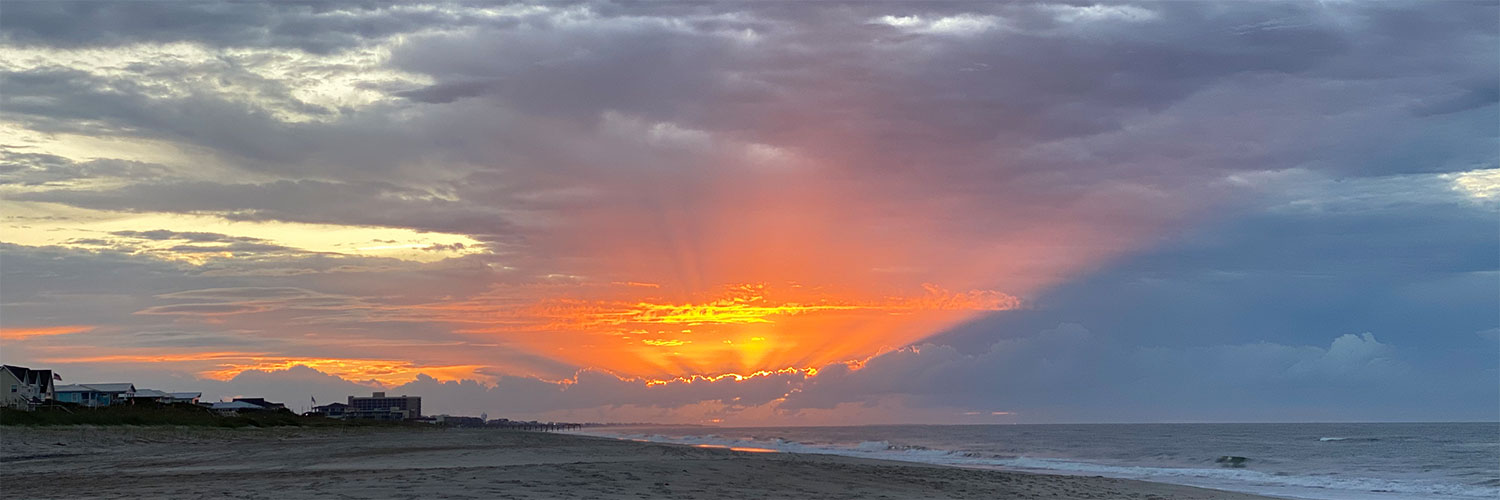 Nancy Richmond Rose banner