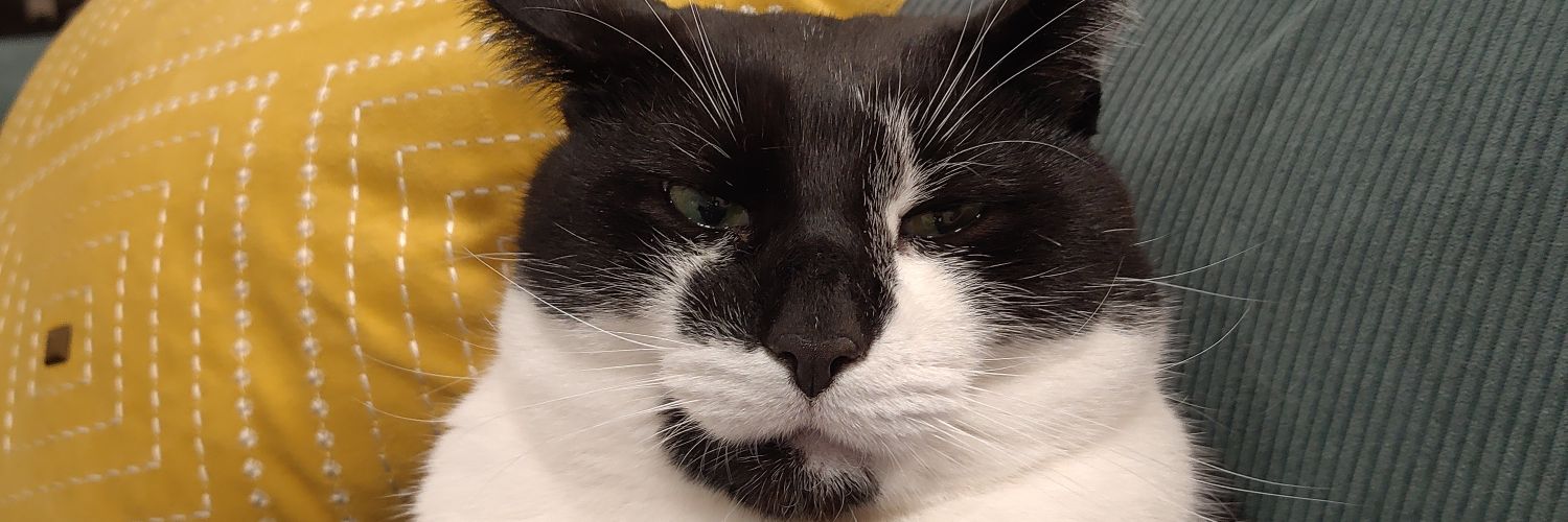 vvoodford's profile banner image