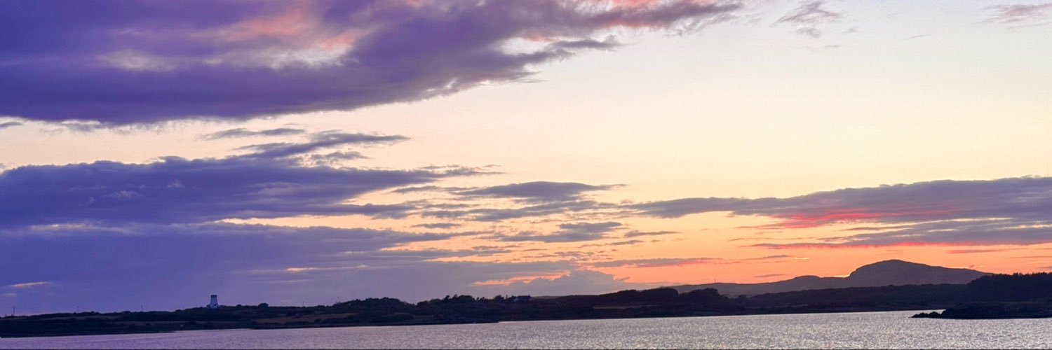 Tempest_Th0rn's profile banner image
