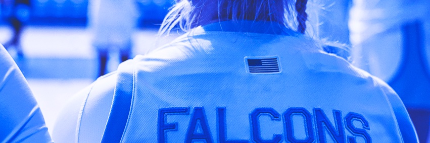 Air Force Women's Basketball banner