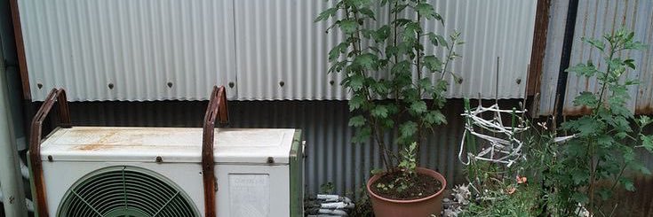 llostbunny's profile banner image