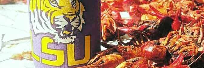 kfcorbari's profile banner image