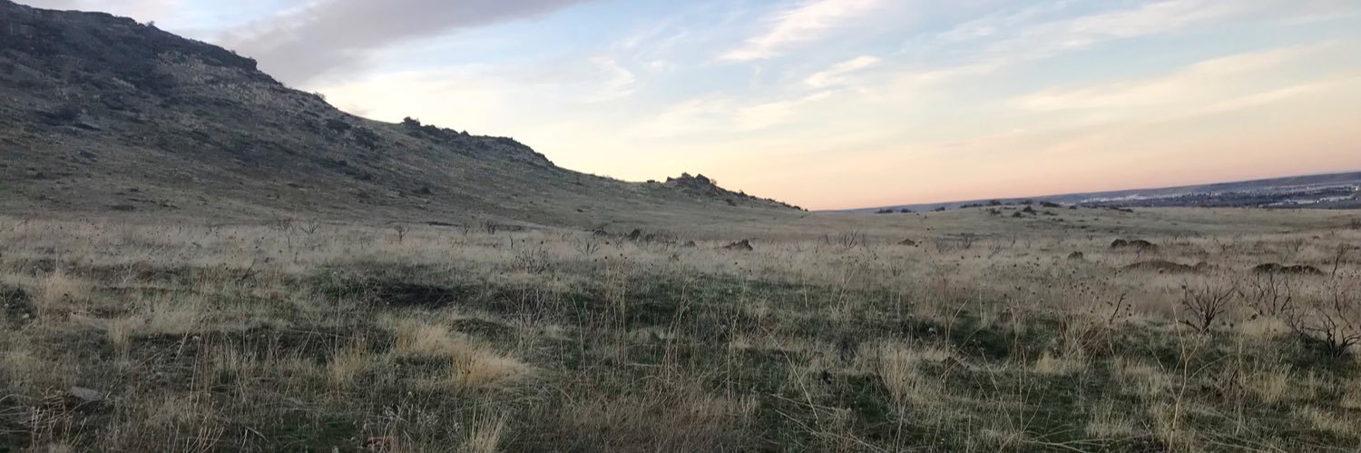 Anna_Webb_Boise's profile banner image