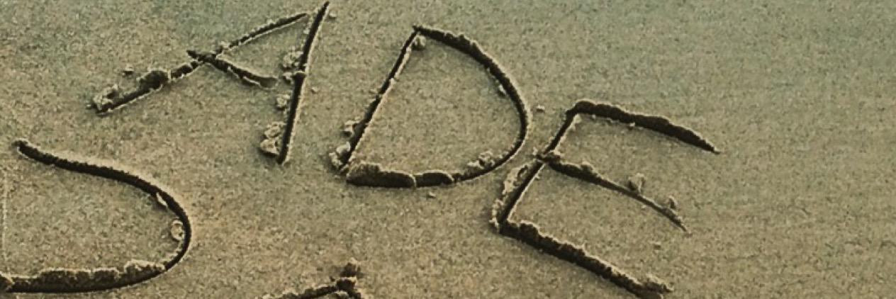 Araceli Calvo banner