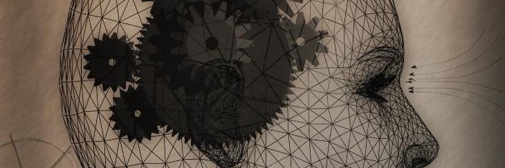 RosaPrezUtrero's profile banner image