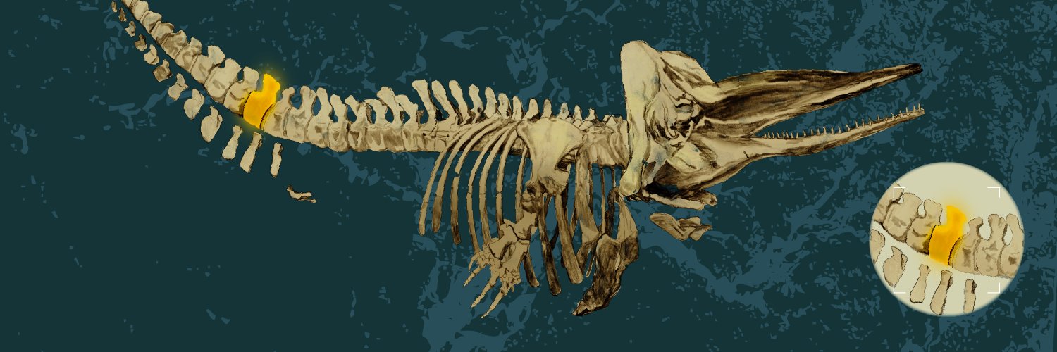 Lee Kong Chian Natural History Museum's banner
