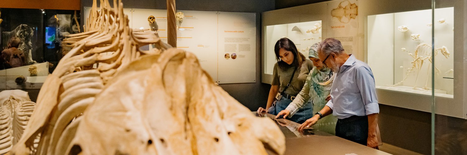 lkcnhm's profile banner image