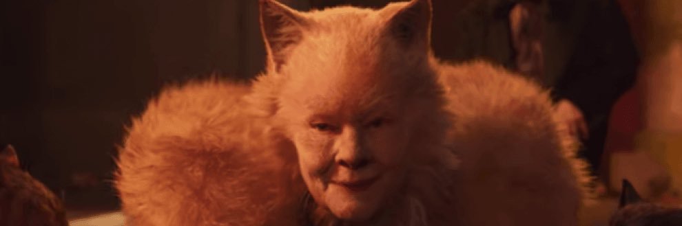 cats2019forever's profile banner image