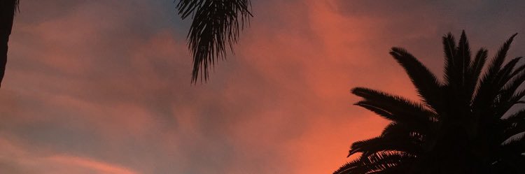 smoked herself to mars banner