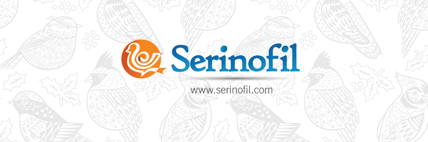 Serinofill's profile banner image