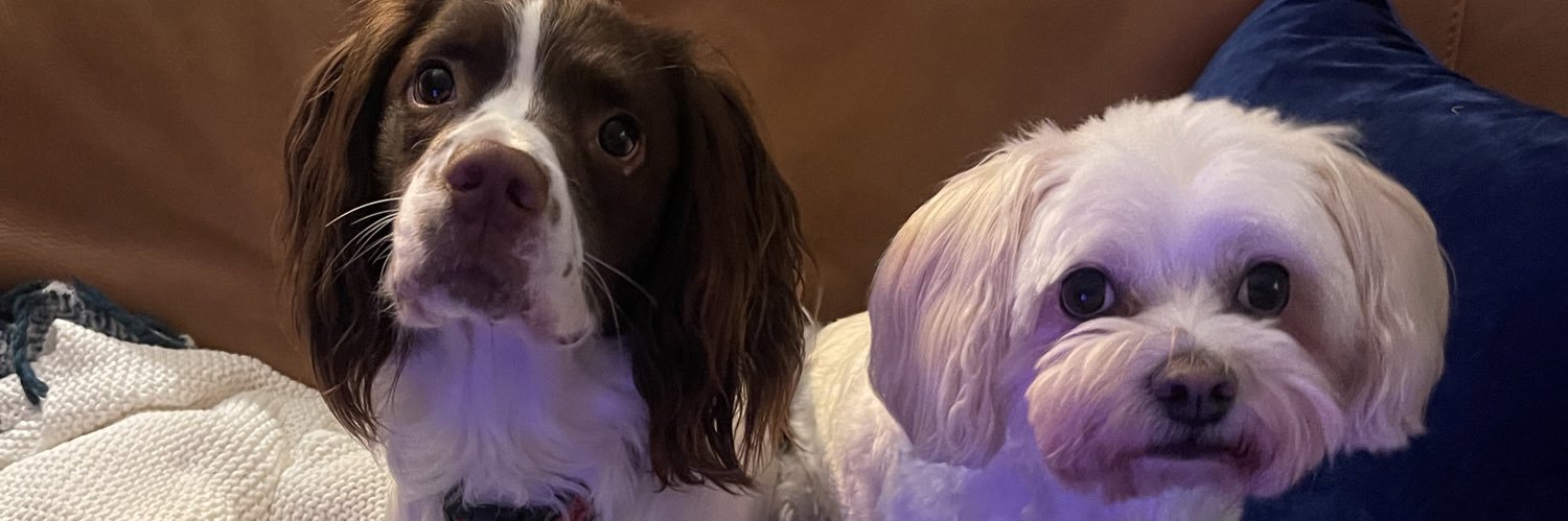 georgiaperris1's profile banner image
