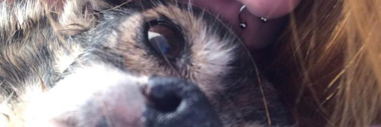 hailtothefla's profile banner image