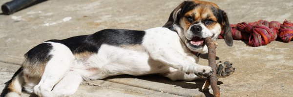 JSTBTR Profile Banner