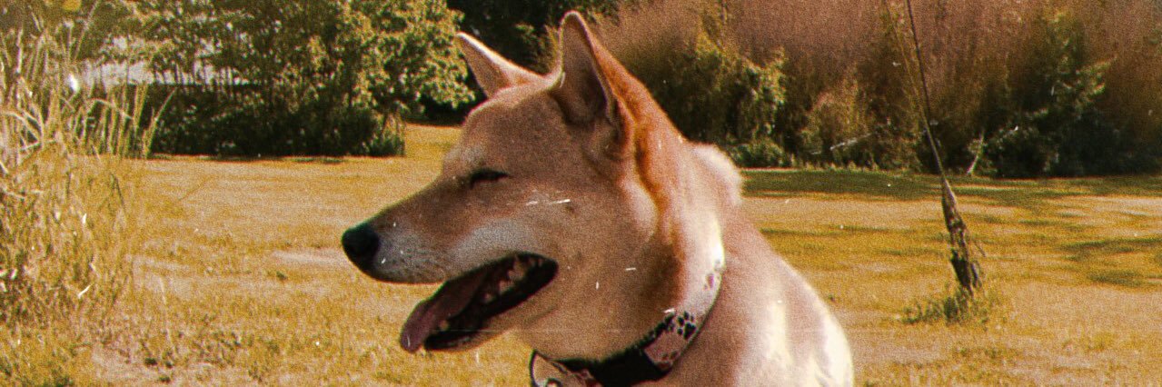 928px's profile banner image