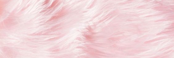 Sharon_amr's profile banner image