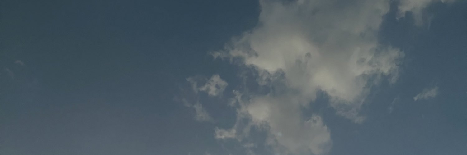 3z banner