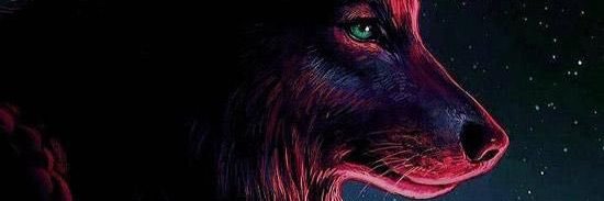 nada_hop's profile banner image