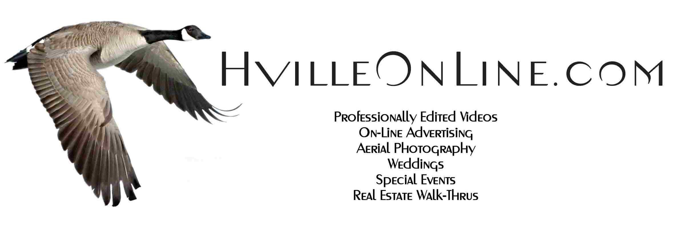 HvilleOnLineLLC's profile banner image
