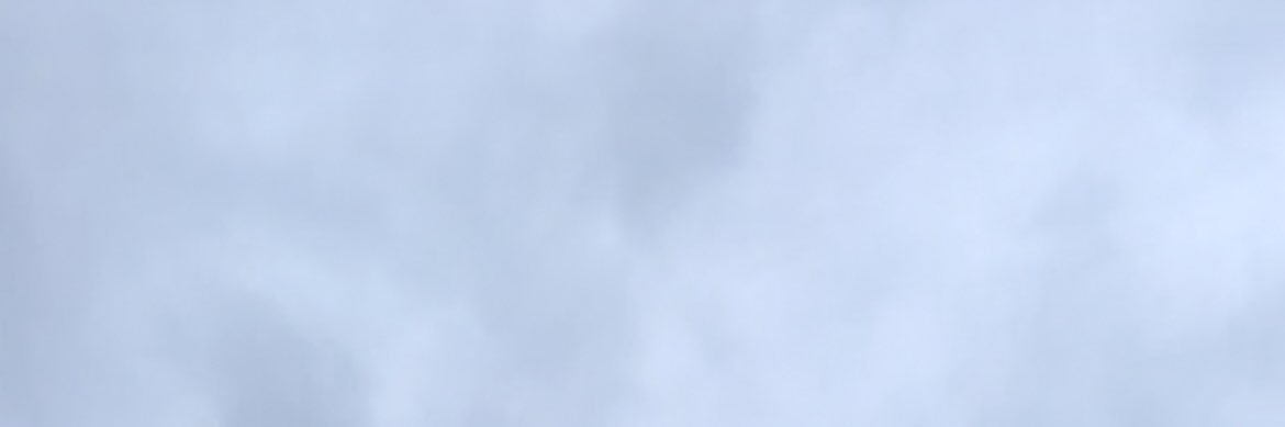 Michell Lagos banner