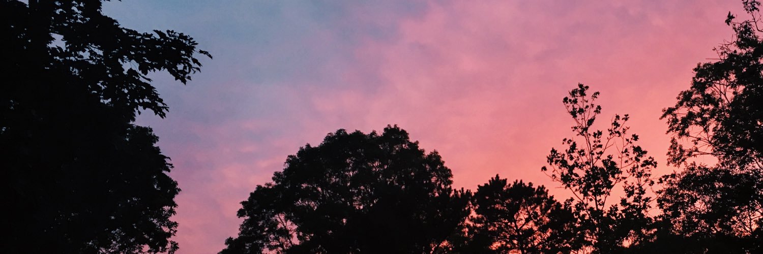 CassidysHeart's profile banner image