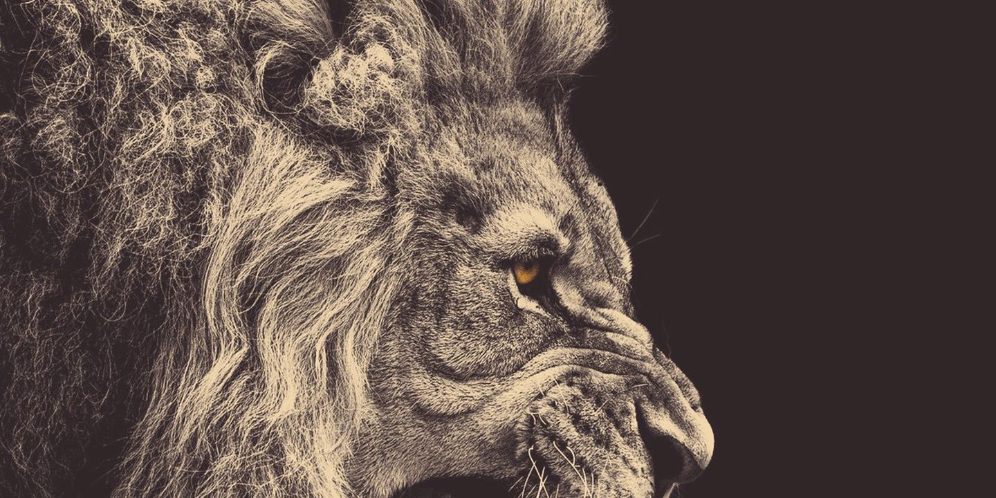 JoseGm98's profile banner image