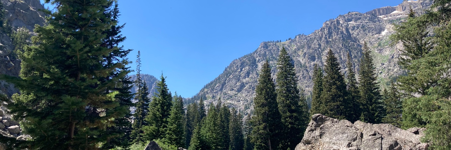 T.C. McCarthy | Bonvivant | Author banner