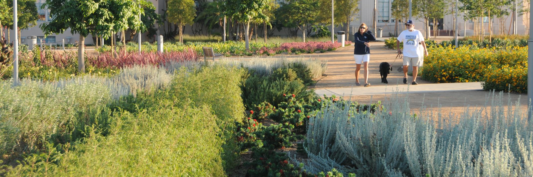 Schmidt Design Group banner