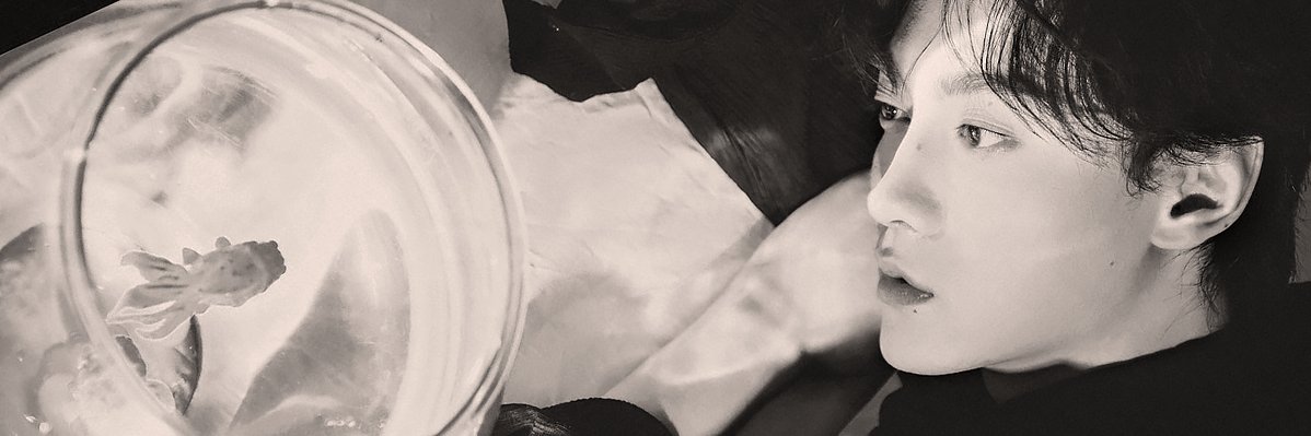 Felifay banner