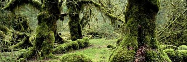 jacoal63 Profile Banner