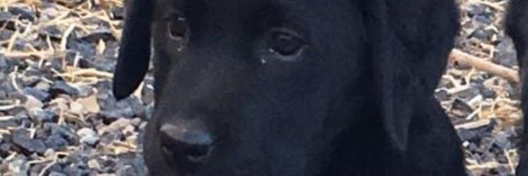 IvanLeivaa's profile banner image