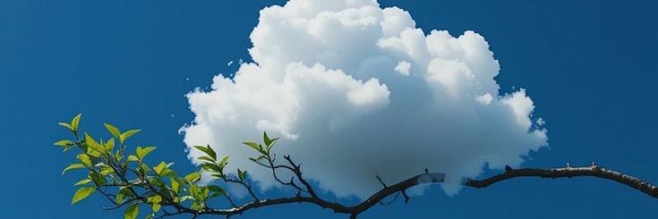 erkuzuu's profile banner image