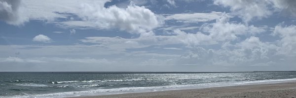 Billy_Brickz Profile Banner