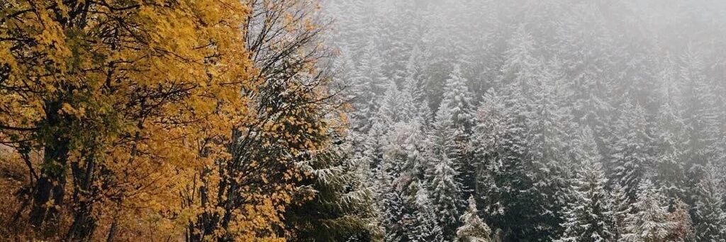 MariaJoseee__'s profile banner image