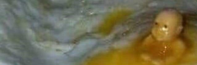 michelllegao's profile banner image
