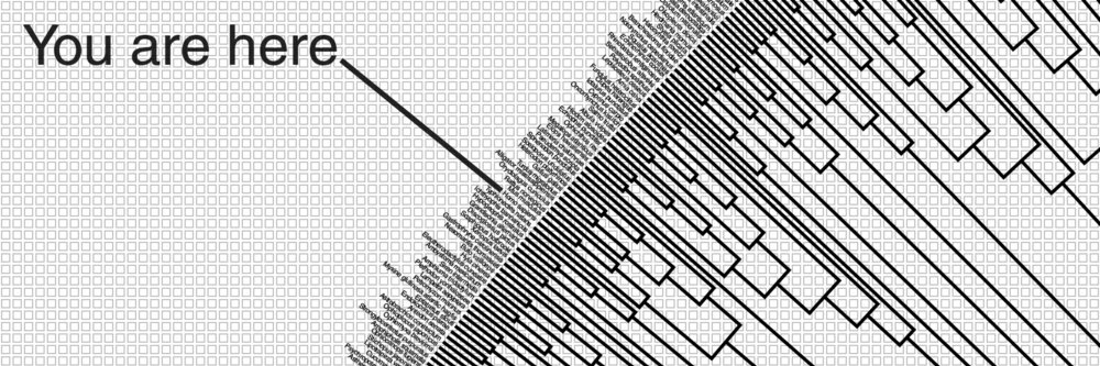 Creationist Translationist banner