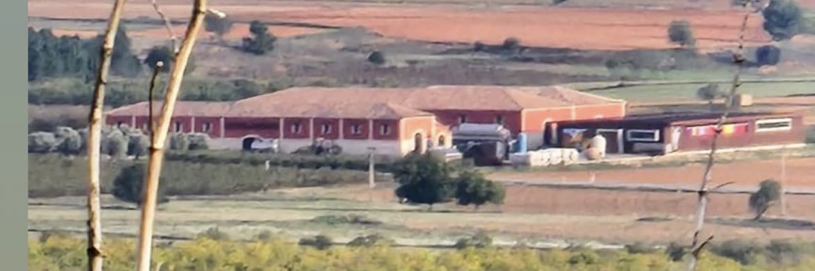 ALTOLANDONWINES banner
